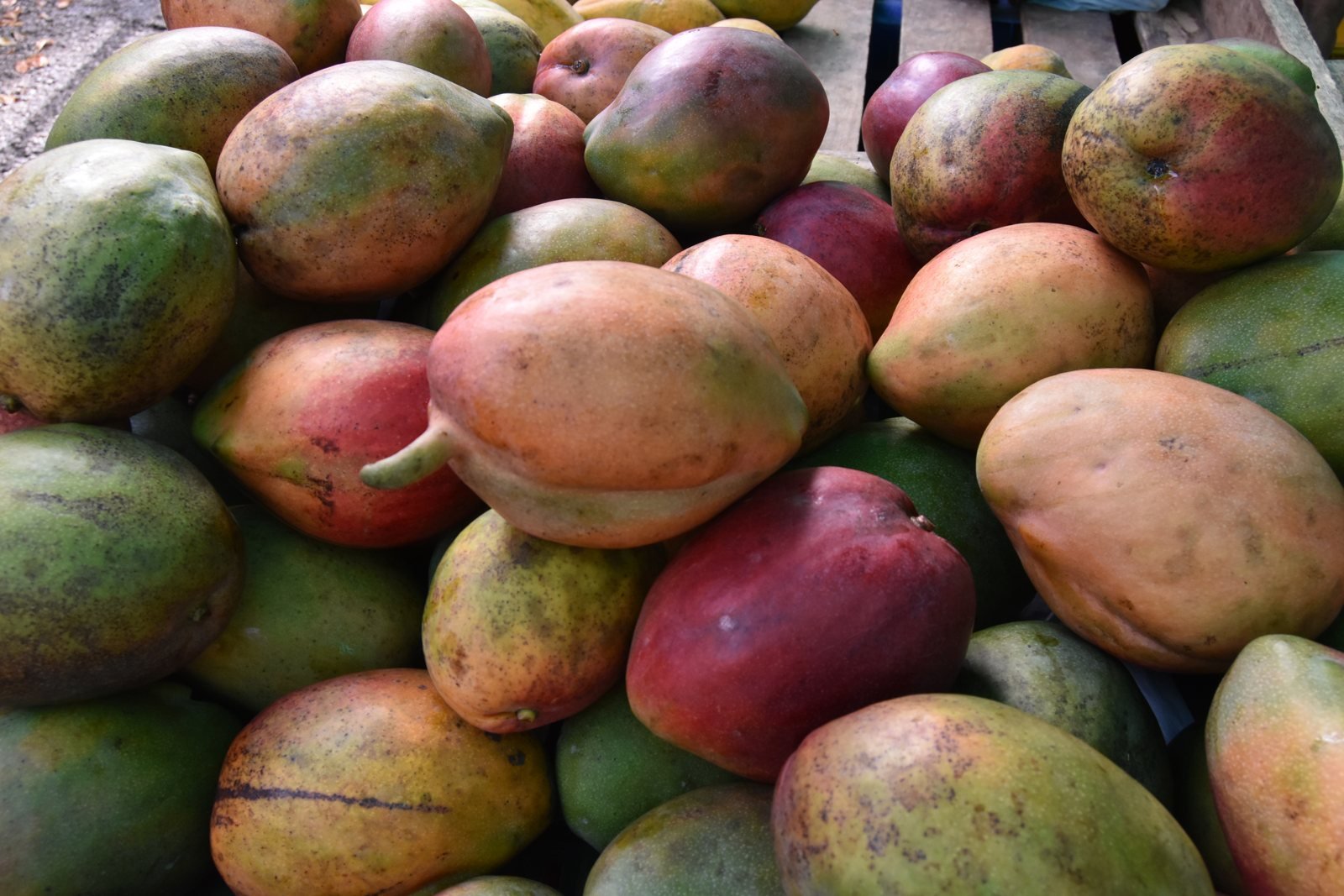 Mangos en el mercado de Nicoya