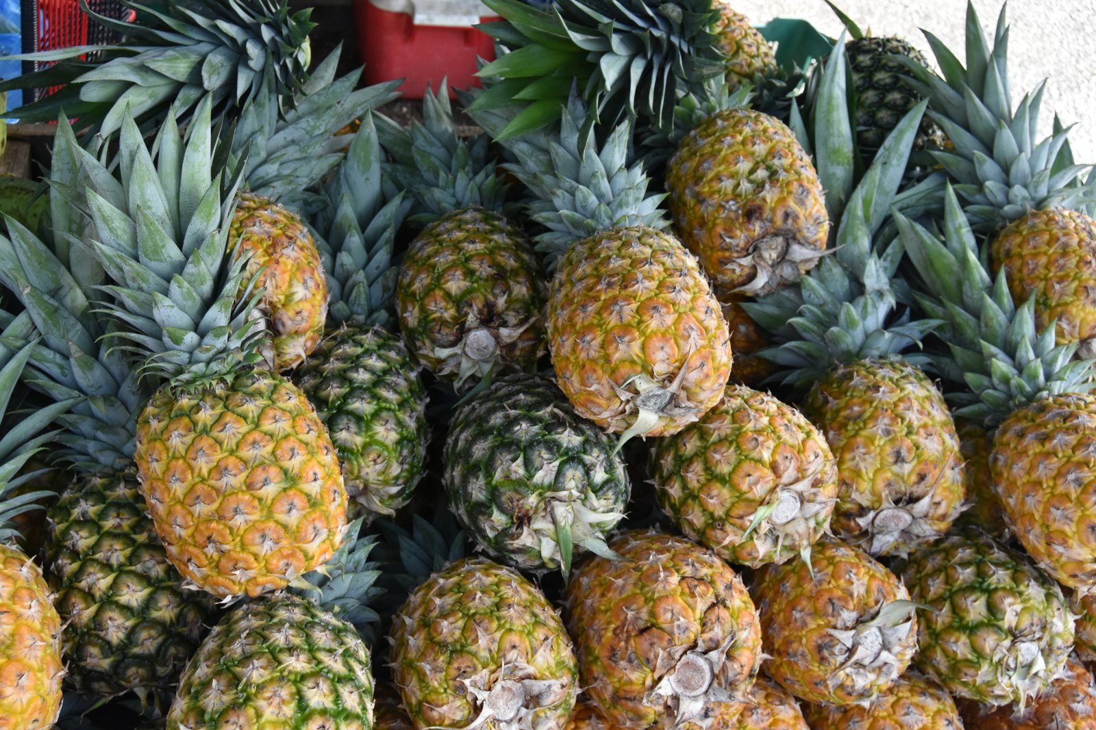 Fruta en el mercado de Nicoya